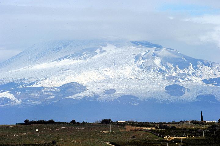 Biviere di Lentini 23.1.2011 (17).jpg